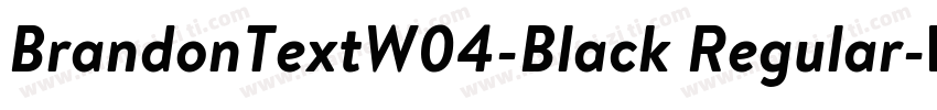 BrandonTextW04-Black Regular字体转换